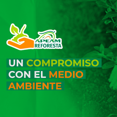 #ApeamReforesta